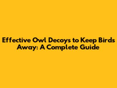 **Effective Owl Decoys to Keep Birds Away: A Complete Guide**