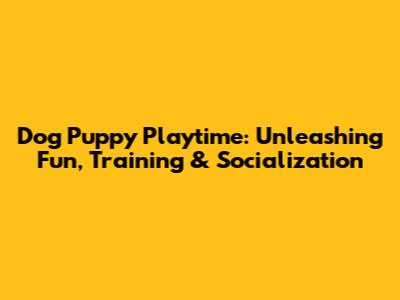 Dog Puppy Playtime: Unleashing Fun, Training & Socialization