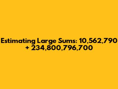 Estimating Large Sums: 10,562,790 + 234,800,796,700