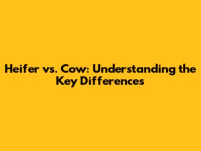 Heifer vs. Cow: Understanding the Key Differences