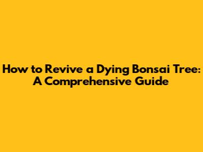 How to Revive a Dying Bonsai Tree: A Comprehensive Guide