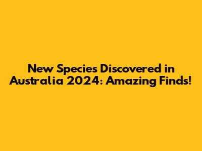 New Species Discovered in Australia 2024: Amazing Finds!