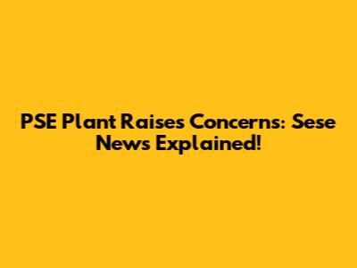 PSE Plant Raises Concerns: Sese News Explained!