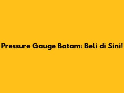 Pressure Gauge Batam: Beli di Sini!