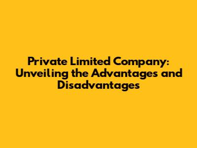 Private Limited Company: Unveiling the Advantages and Disadvantages