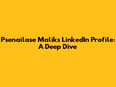 Psenailase Malik's LinkedIn Profile: A Deep Dive