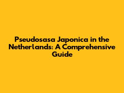 Pseudosasa Japonica in the Netherlands: A Comprehensive Guide