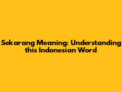 Sekarang Meaning: Understanding this Indonesian Word