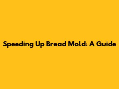 Speeding Up Bread Mold: A Guide