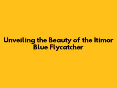 Unveiling the Beauty of the Itimor Blue Flycatcher