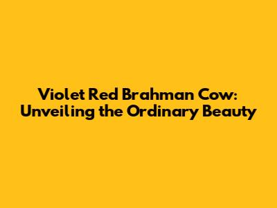 Violet Red Brahman Cow: Unveiling the Ordinary Beauty